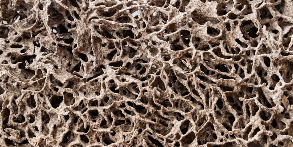 termite nest that eat wood paper house | แอ๊ดวานซ์ กรุ๊ป เอเซีย บริษัท กำจัดปลวก กำจัดแมลง ทำความสะอาด