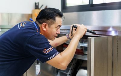 แมลงสาบ-service01.jpg แมลงสาบ