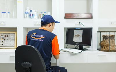 กำจัดแมลงสาบ-service06.jpg กำจัดแมลงสาบ
